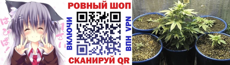 Какие есть наркотики Верхняя Салда Каннабис  Кокаин  МЕТАМФЕТАМИН  ссылка на мегу как войти  Гашиш 