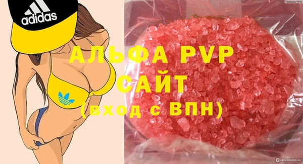 стаф Аркадак