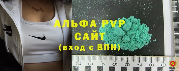 стаф Аркадак