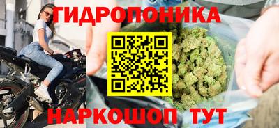 сатива Братск