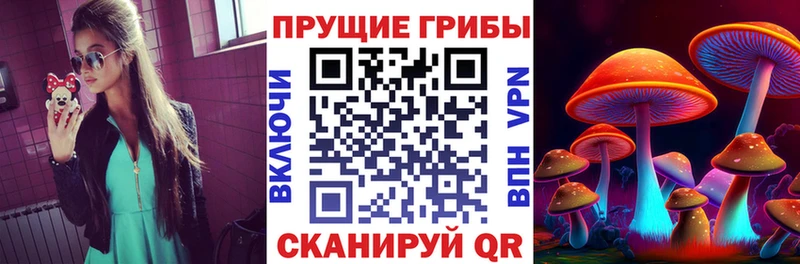 Псилоцибиновые грибы прущие грибы  Верхняя Салда 